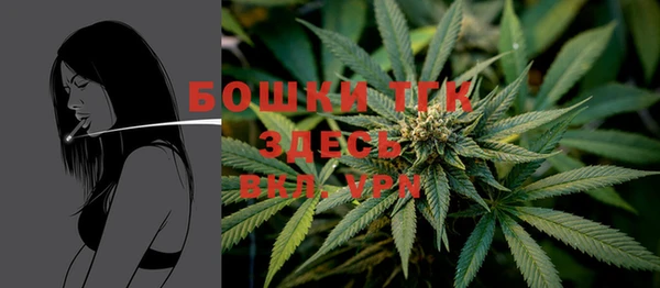 бошки Аркадак