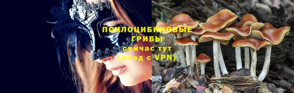 Альфа ПВП Балабаново
