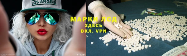 скорость Заполярный
